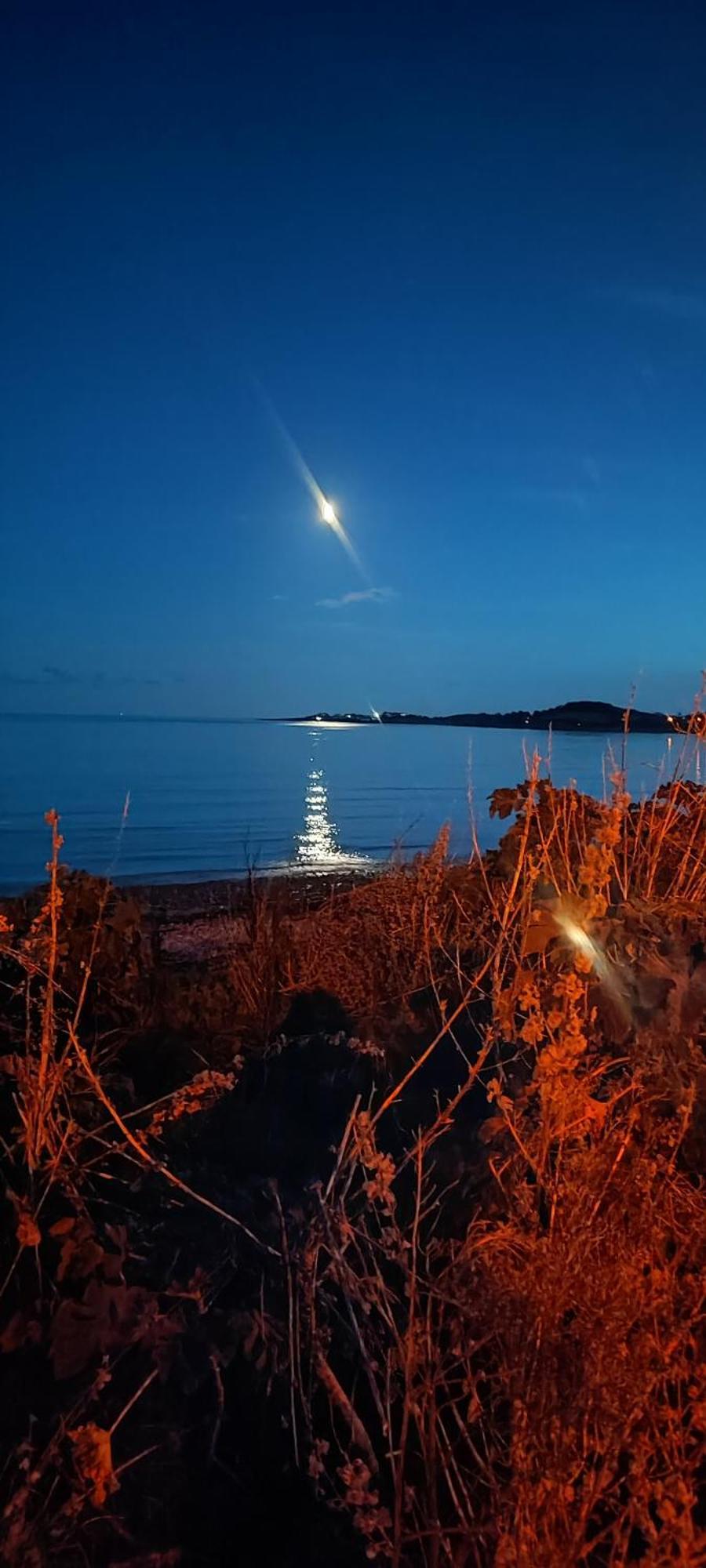 Horse Island View Luxury Retreat Apartment Kircubbin Exterior foto